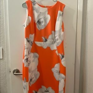 Calvin Klein Sheath floral dress